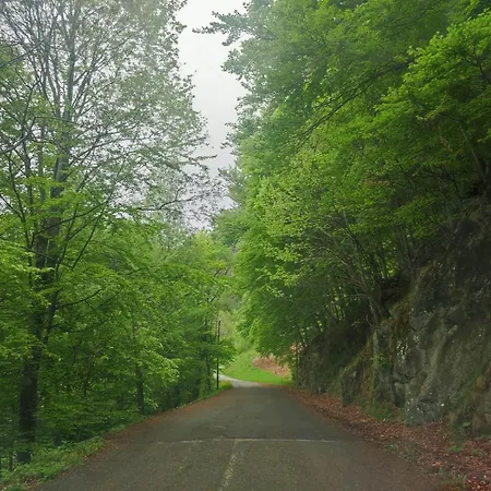 Casa Di Viu' Apartment Viu